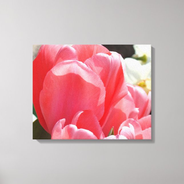 Tulpanblommor Trädgård Rosa Tulpaner Vår Canvas (Framsida)