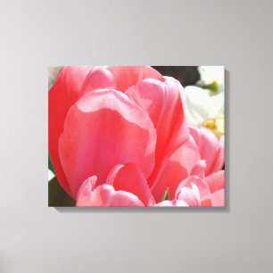 Tulpanblommor Trädgård Rosa Tulpaner Vår Canvas