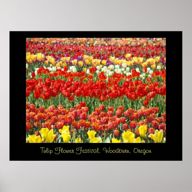 Tulpanblomsterfestival Woodburn Oregon konsttryck Poster (Framsidan)