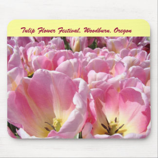 Tulpanblomsterfestival Woodburn Oregon Rosa Tulpan Musmatta