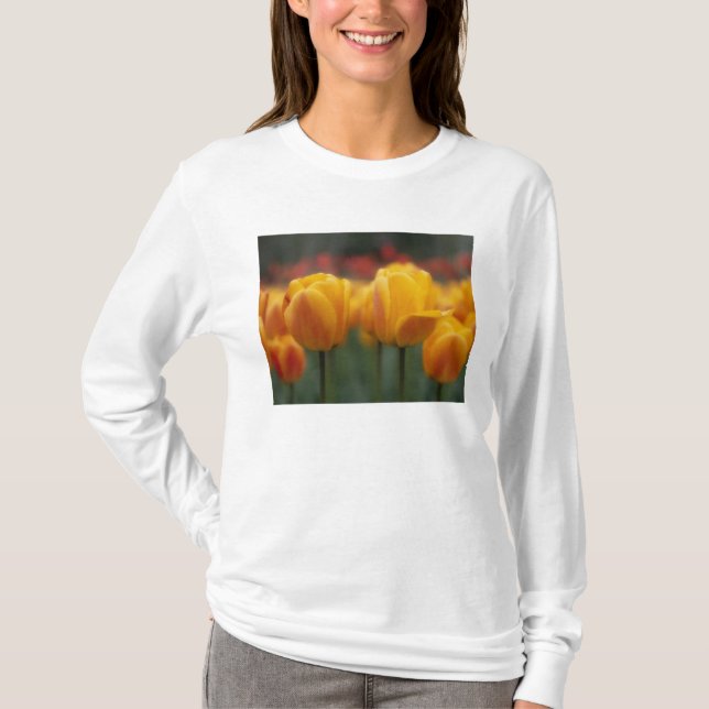 Tulpaner 2 t-shirt (Framsida)