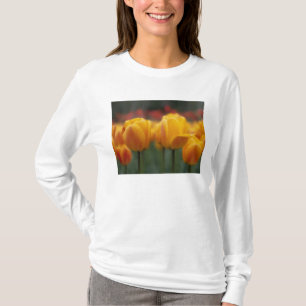 Tulpaner 2 tee