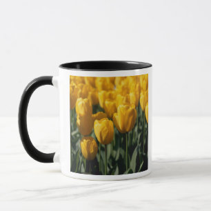 Tulpaner 3 mugg