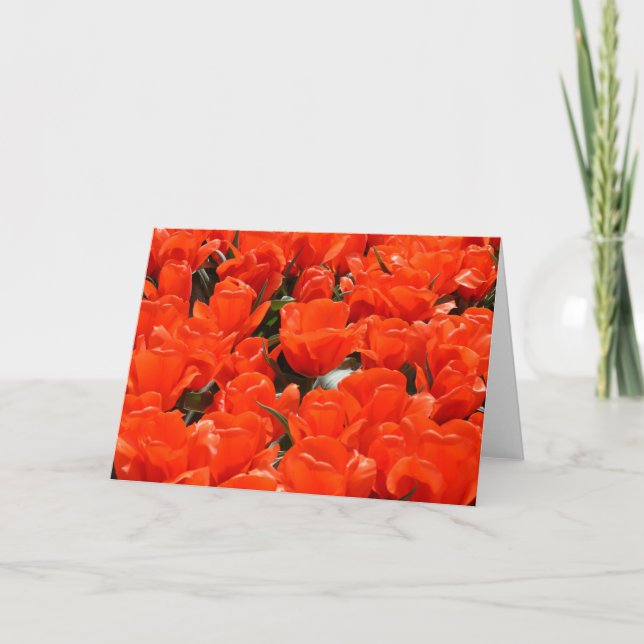 Tulpaner av giant orange helgkort (Framsida)