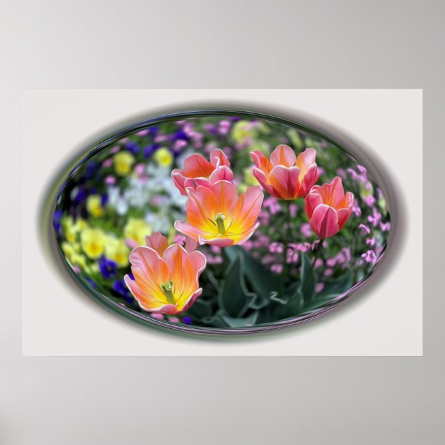 Tulpaner av gyllene rosa poster (Framsidan)