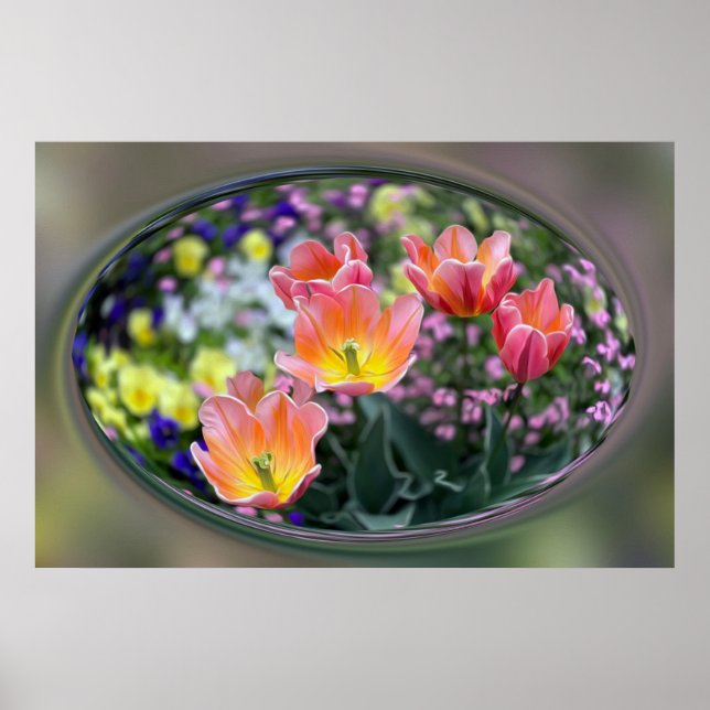Tulpaner av gyllene rosa poster (Framsidan)