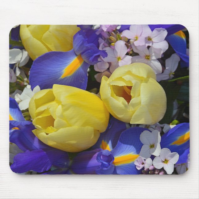 Tulpaner av vår och oskärmar av blommor, musslor musmatta (Framsidan)