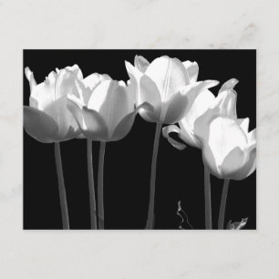 Tulpaner, B&W-bröllopsinbjudning Inbjudningar