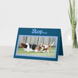 Tulpaner bara för att kort med basset Hounds