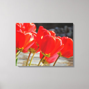 Tulpaner Blommig konsttryck canvas Röd Tulpan Blom