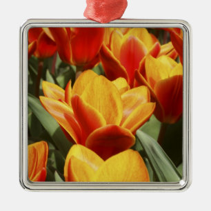 Tulpaner finns i överflöd i Keukenhof Gardens, Hol Julgransprydnad Metall