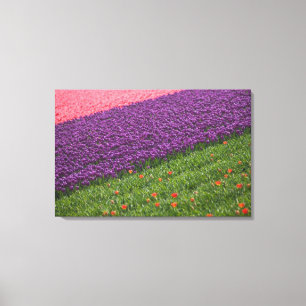 Tulpaner i Keukenhof Gardens, Amsterdam, 2 Canvastryck