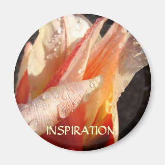 TULPANER INSPIRATIONSMAGNET Regndroppar Tulpanblom Magnet