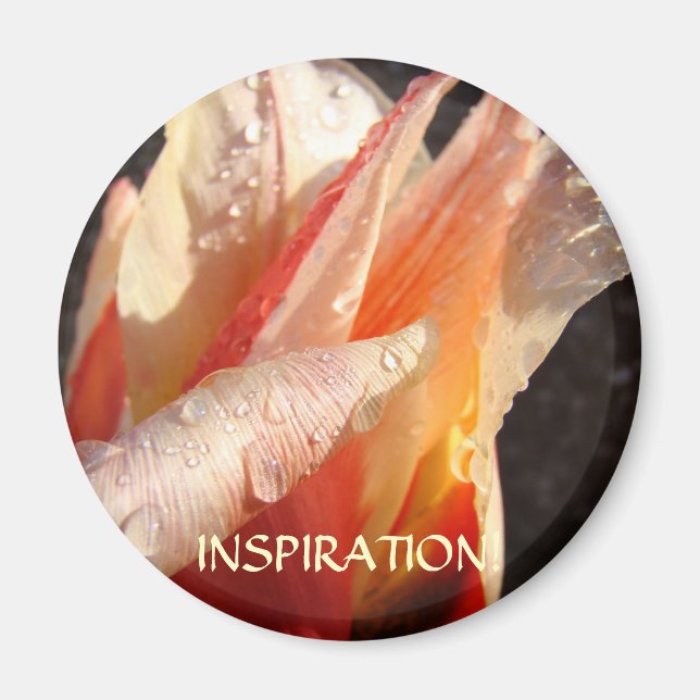 TULPANER INSPIRATIONSMAGNET Regndroppar Tulpanblom Magnet (Framsidan)