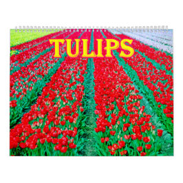 tulpaner Kalender