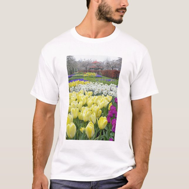 Tulpaner, narcisser och druvhyacintblommor, t-shirt (Framsida)