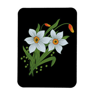 Tulpaner och Narcisser Blommor Svart Bakgrund Magnet