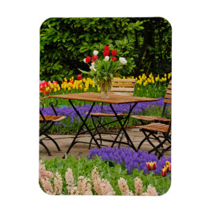 Tulpaner på bord i trädgården, Keukenhof Gardens, Magnet