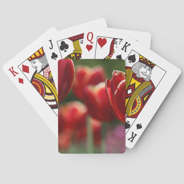 Tulpaner Spel Kort (Baksidan)