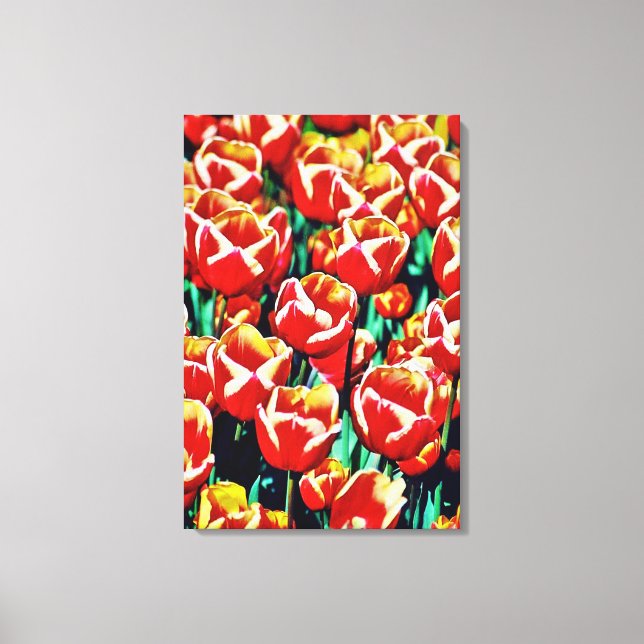 Tulpaner tryck på sträckt canvas (Framsida)