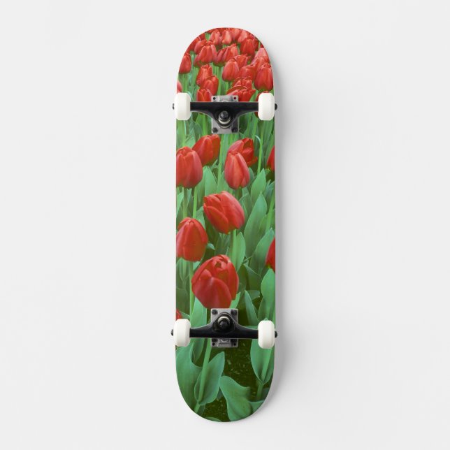 Tulpanfält blommar på våren. skateboard bräda 20 cm (Framsida)
