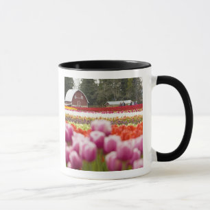Tulpanfält på Mt. Vernon, Skagit County, WA Mugg