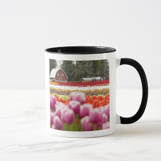 Tulpanfält på Mt. Vernon, Skagit County, WA Mugg (Höger)