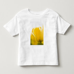 Tulpanfält vid Mt. Vernon, Skagit County, WA. Tee Shirt