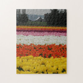 Tulpanfältspussel, 28 cm x 35,5 cm, 252 bitar pussel