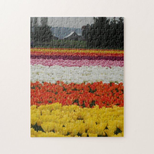 Tulpanfältspussel, 28 cm x 35,5 cm, 252 bitar pussel (Vertikal)