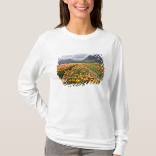 Tulpanfarm nära Agassiz, British Columbia, Tee Shirt