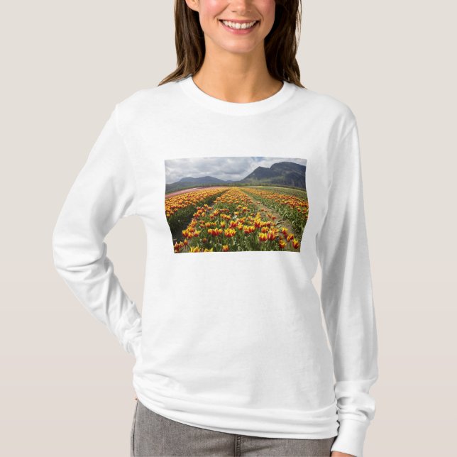 Tulpanfarm nära Agassiz, British Columbia, Tee Shirt (Framsida)