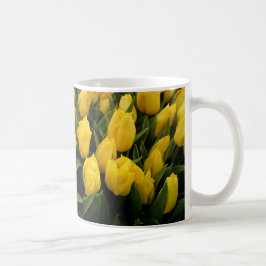 Tulpanfestival - 27 muggar