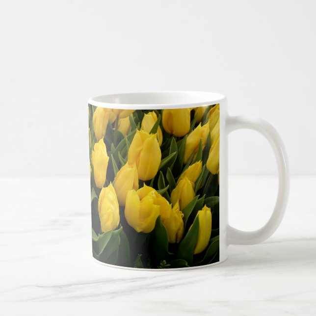 Tulpanfestival - 27 muggar (Höger)