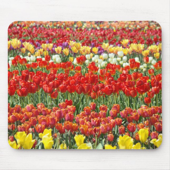 Tulpanfestival Blommor musmattor Julpresent Kontor (Framsidan)