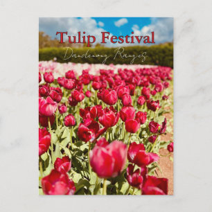 Tulpanfestival, Dandenong Ranges, Victoria Vykort