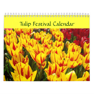 Tulpanfestival Kalender Färgglada Tulpaner Blommor