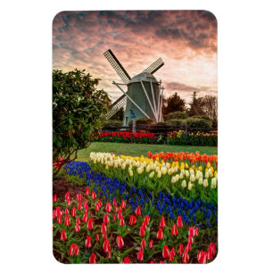 Tulpanfestival Magnet