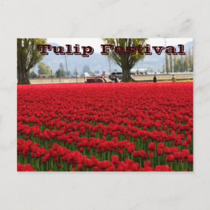 Tulpanfestival Vykort