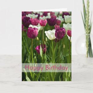 Tulpanfödelsedagkort Geburtstagskarte Tulpen Kort