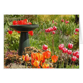 Tulpanfontänkort Hälsningskort