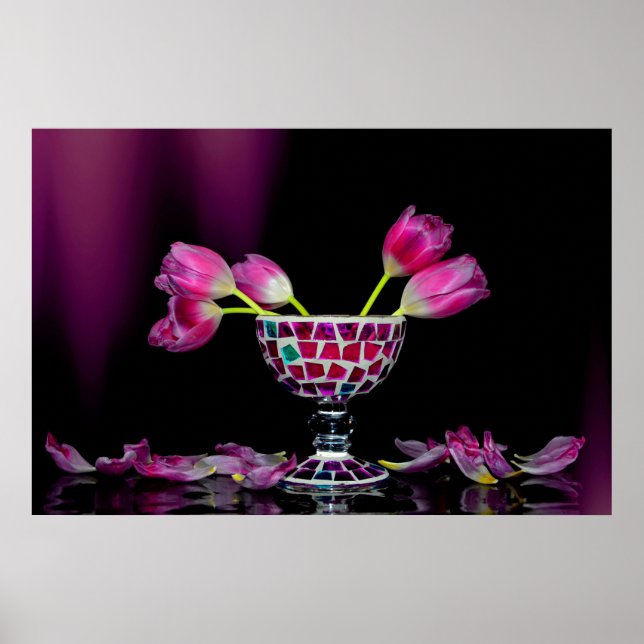 Tulpanförtrollning i rosa poster (Framsidan)