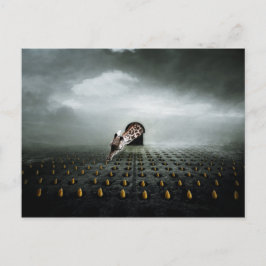 tulpantjuv 2 2013 vykort