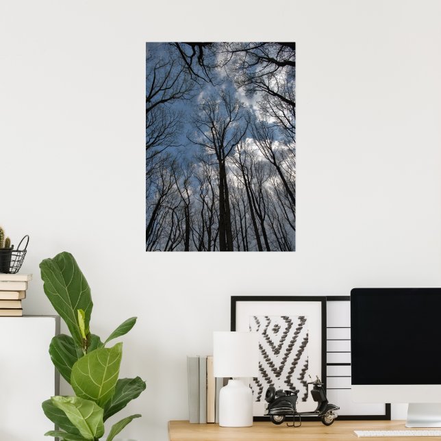 Tulpanträd Molnig blå himmel Poster (Hemmakontoret)