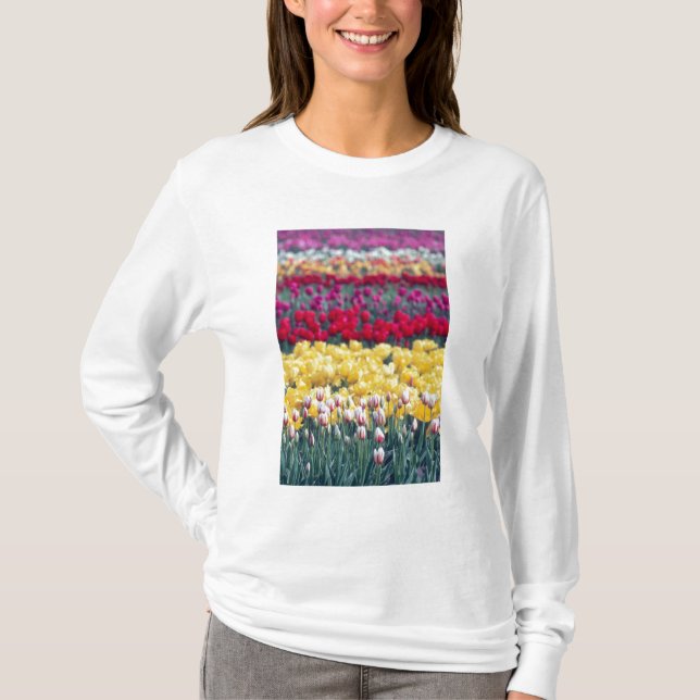 Tulpanträdgården i Skagit-dalen, visningen Tulip. Tee Shirt (Framsida)