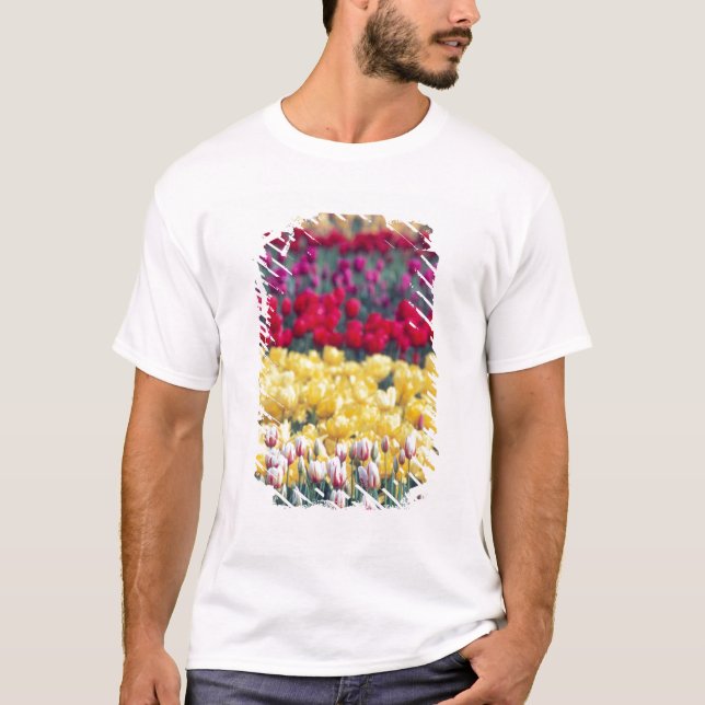 Tulpanträdgården i Skagit-dalen, visningen Tulip. Tee Shirt (Framsida)