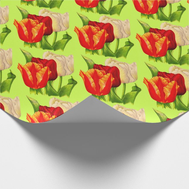 tulpanutskrift presentpapper (Hörn)