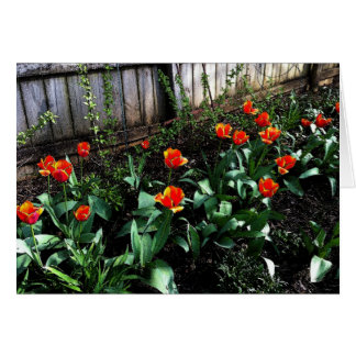 Tulpanvattenfärg Hälsningskort