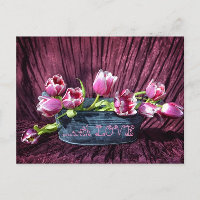 Tulpen für Dich ... Vykort (Framsida)