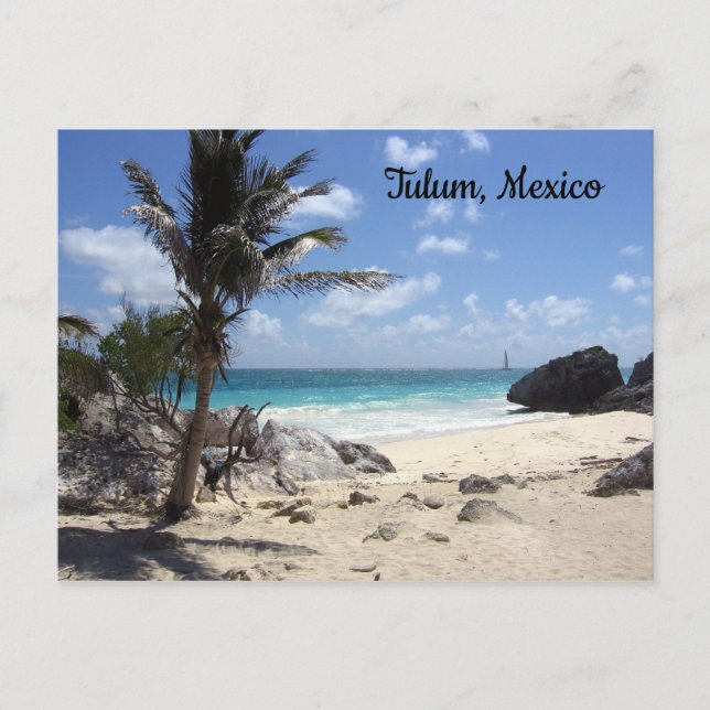 Tulum, Mexiko - Beach - Handflatan Träd Vykort (Framsida)